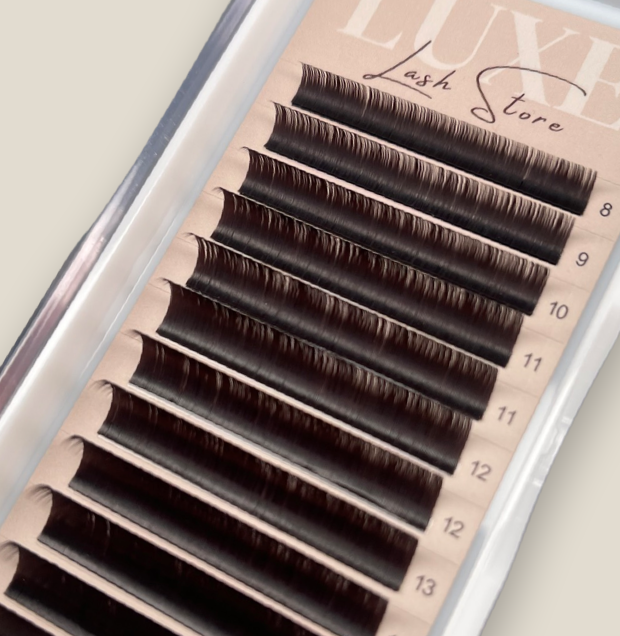 Classic Dark Brown Lash Tray 0.15 - D CURL