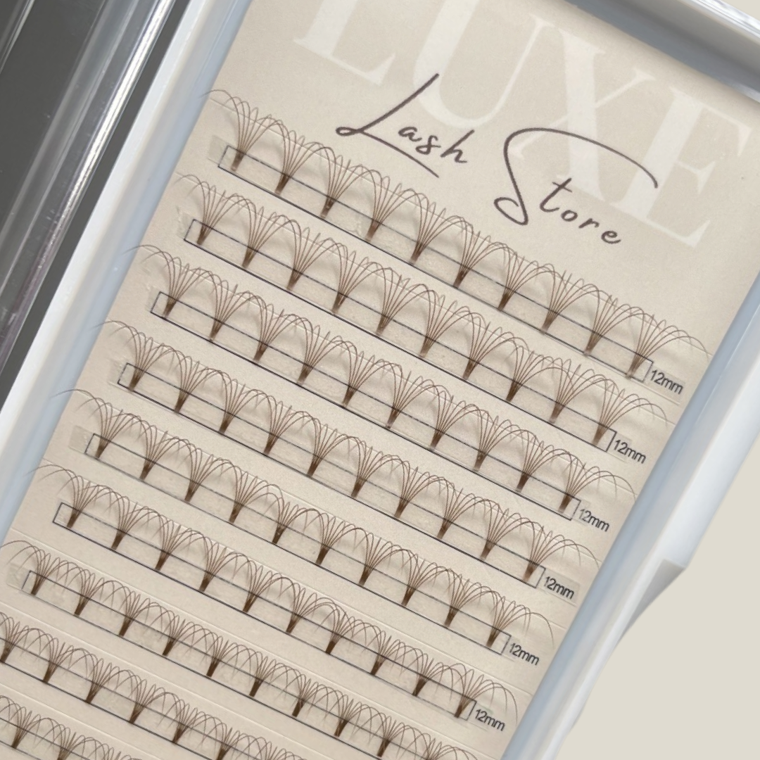 6D Dark Brown Premade Lash Trays - 0.07